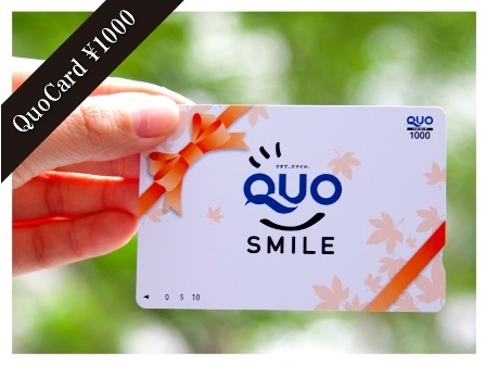 色々使えて便利♪　QUOカード１０００円分付プラン