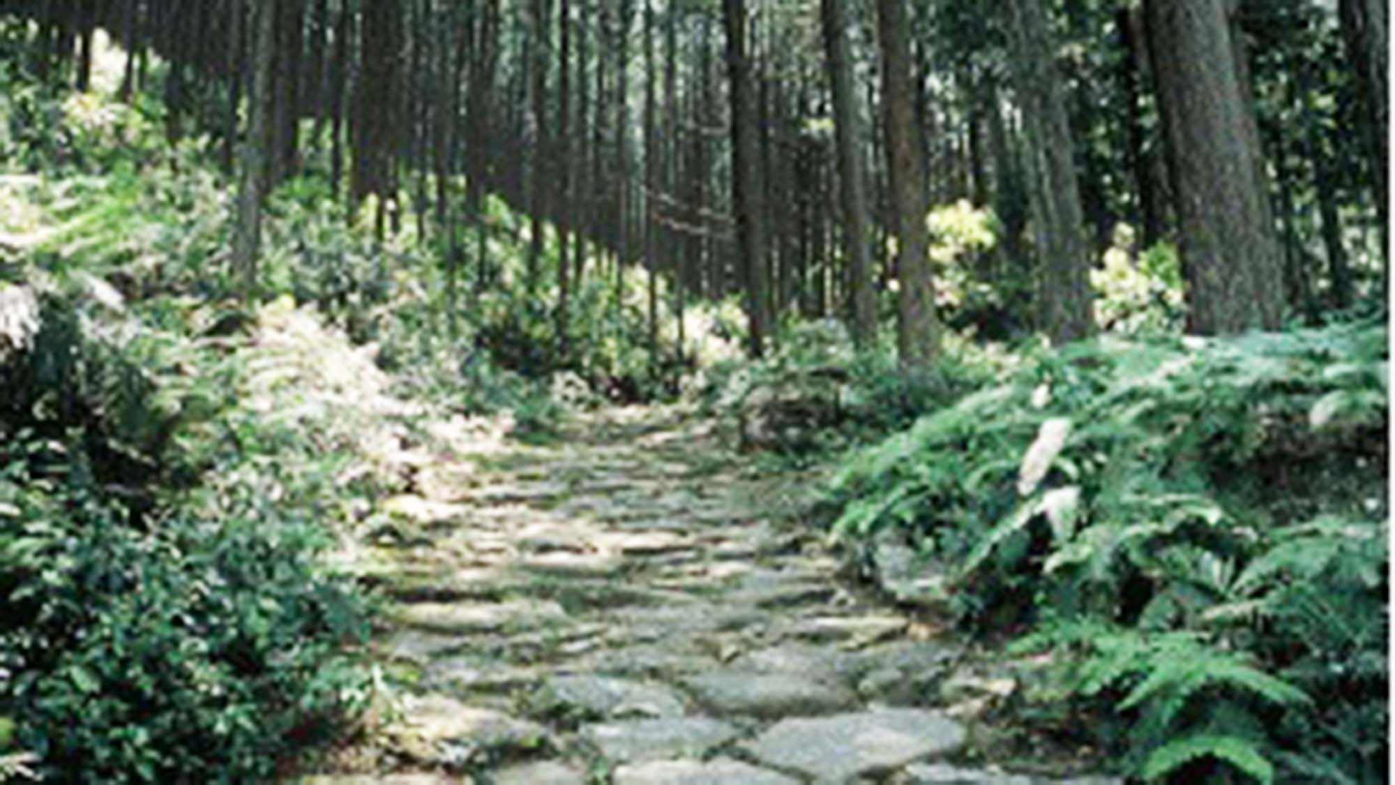 ・美しい石畳で有名な「熊野古道 馬越峠」をお楽しみください