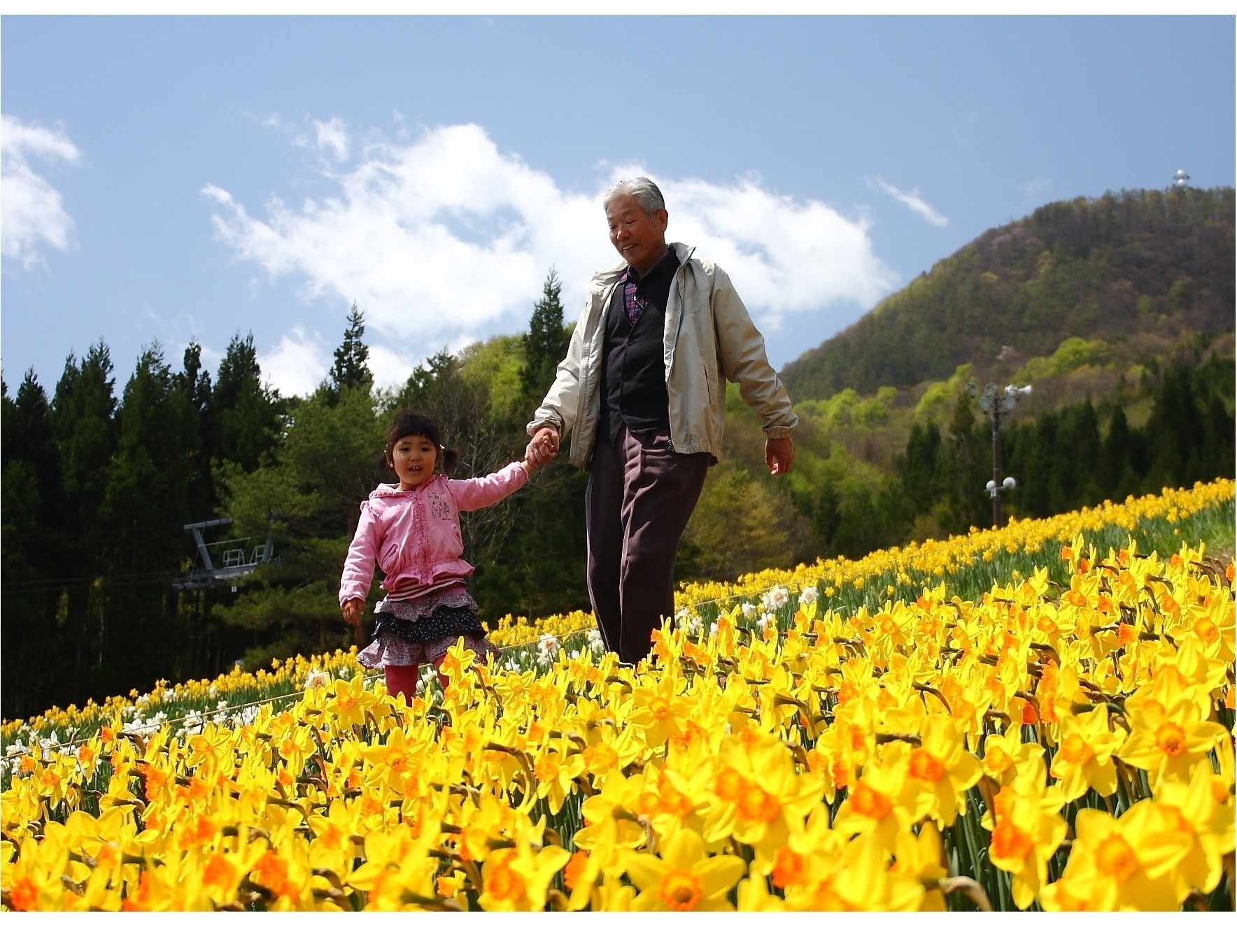 すいせん歩経路