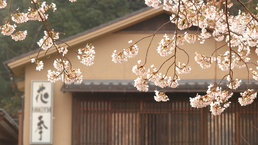 外観（桜）