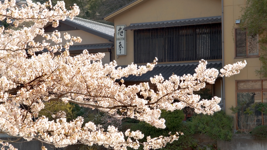 桜の季節の外観