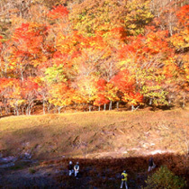 紅葉の美しいポンポン山