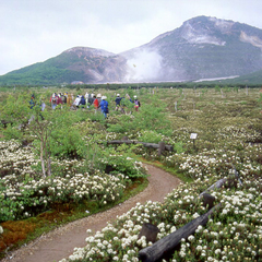 硫黄山春の散策