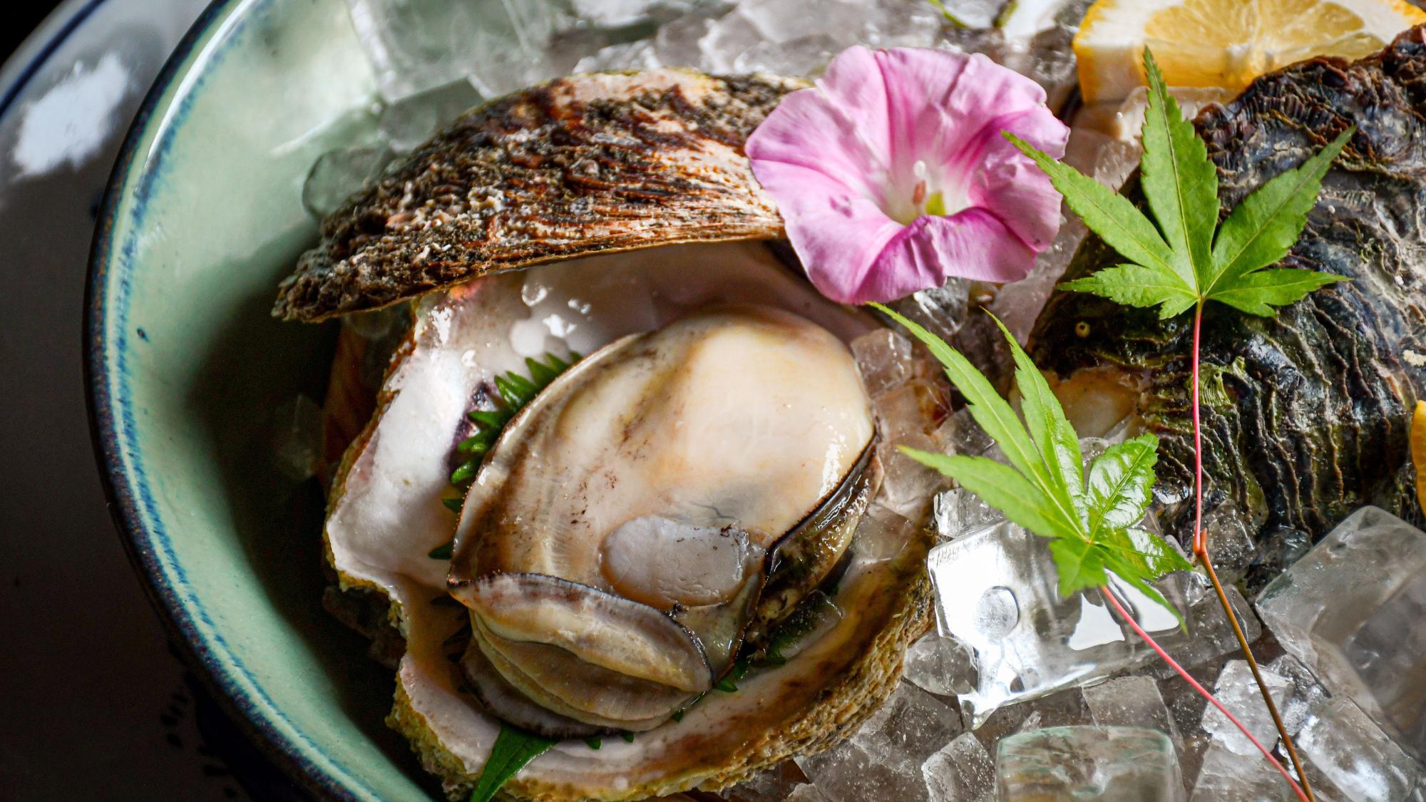 【ブランド岩牡蠣「夏輝」×オールインクルーシブ】地酒と牡蠣のペアリングも〜因幡岩井の夏の味を堪能