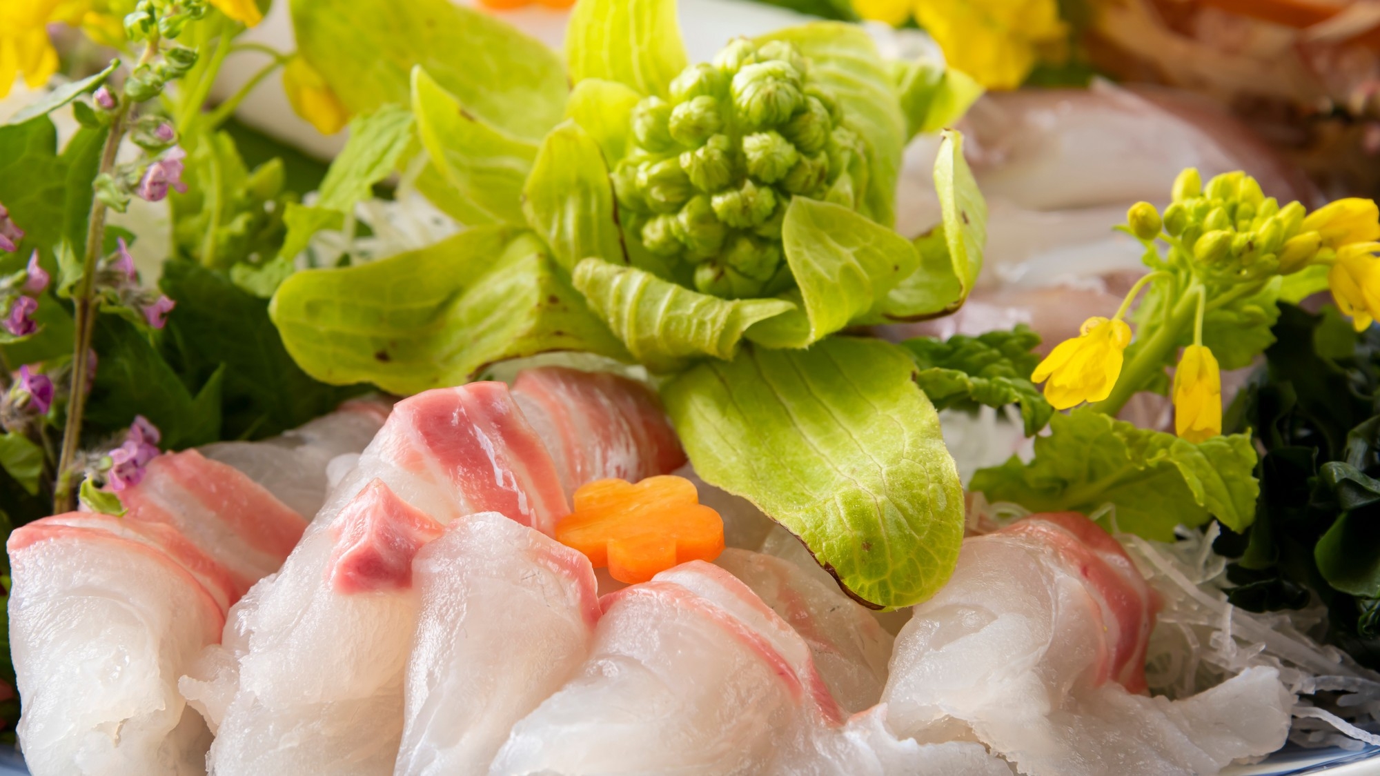 【GWゴールデンウイーク】鳥取和牛・もさ海老ほか山陰の海山の幸を堪能〜山陰最古の湯でお寛ぎ＜月会席＞