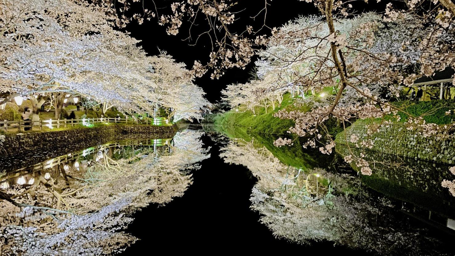 【岩美の桜めぐりと民芸で味わう春スイーツ〜春のいわいやの会】岩美の四季を愛でる〜抹茶と和菓子付〇星