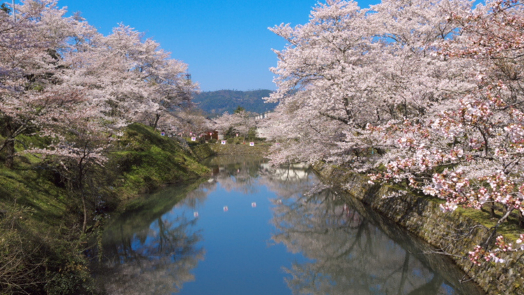 【春のお祝いプラン】ご卒業・ご入学や新社会人のお祝いに＜オールインクルーシブ対象外〇ワンドリンク付＞