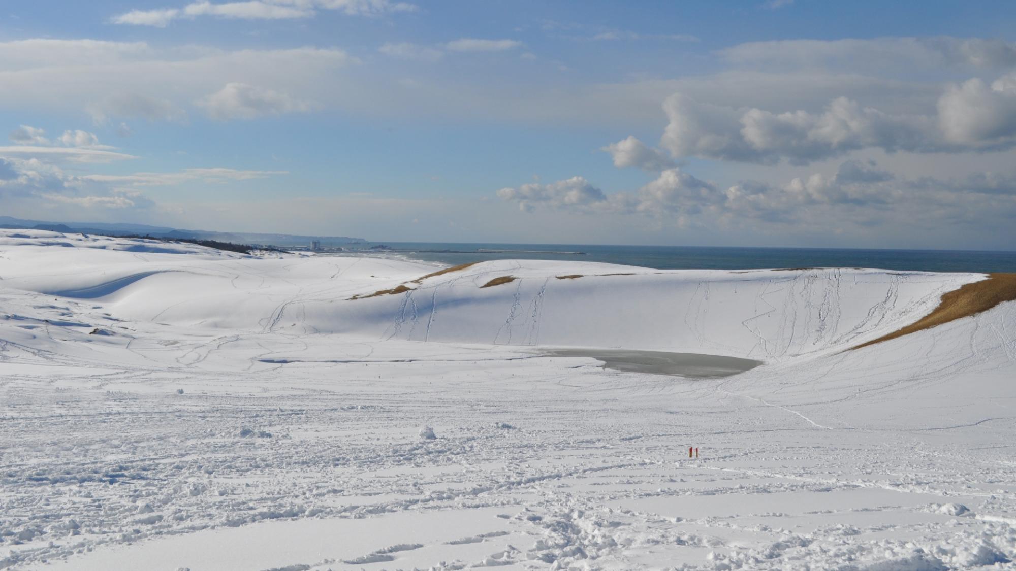 【鳥取砂丘】雪の積もった鳥取砂丘は銀世界につつまれ、夏とはまた違った魅力があります。