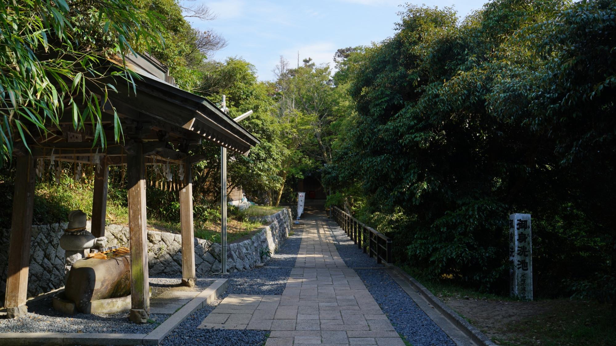 【白兎神社】奥へと続く道を進むと神秘的な雰囲気。縁結びにご利益のある神社です。