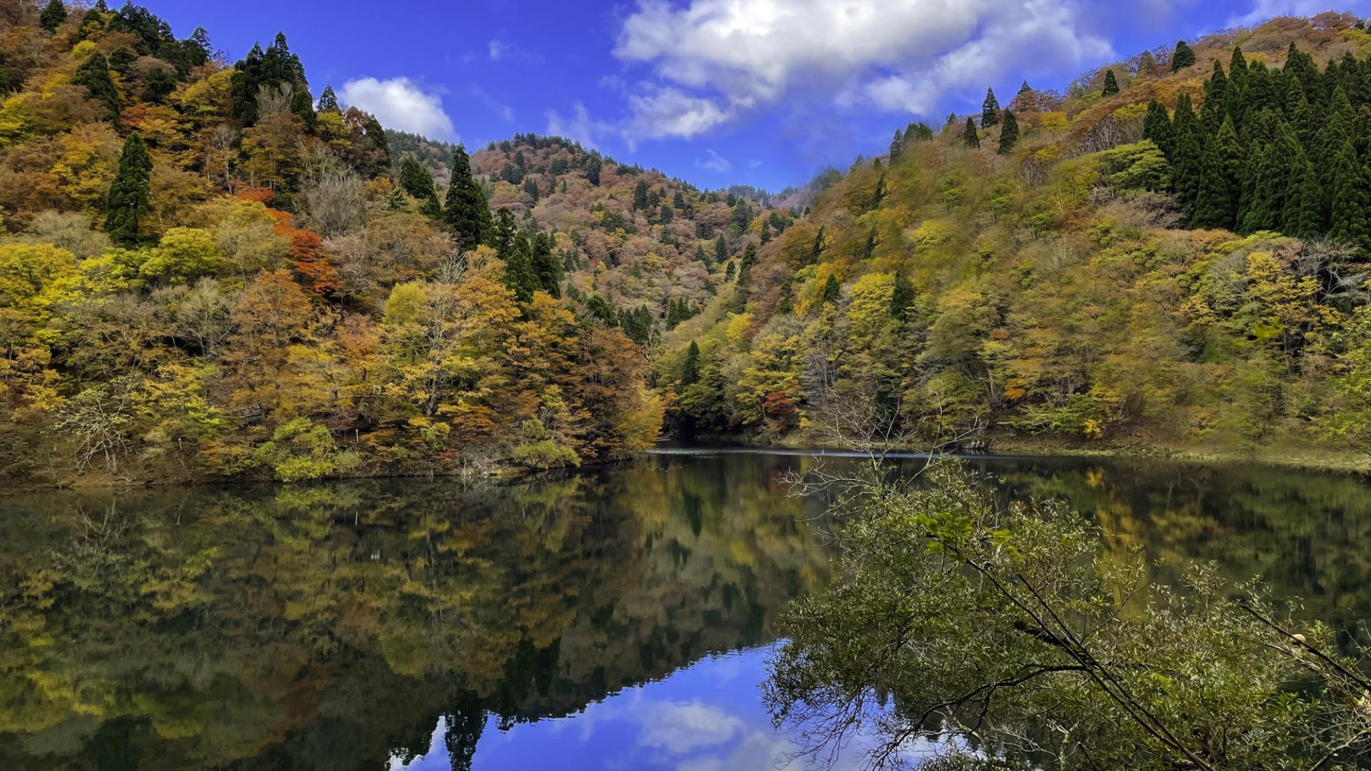 【芦津渓谷】国定公園にも指定されている芦津渓谷。紅葉の名所としても知られています。