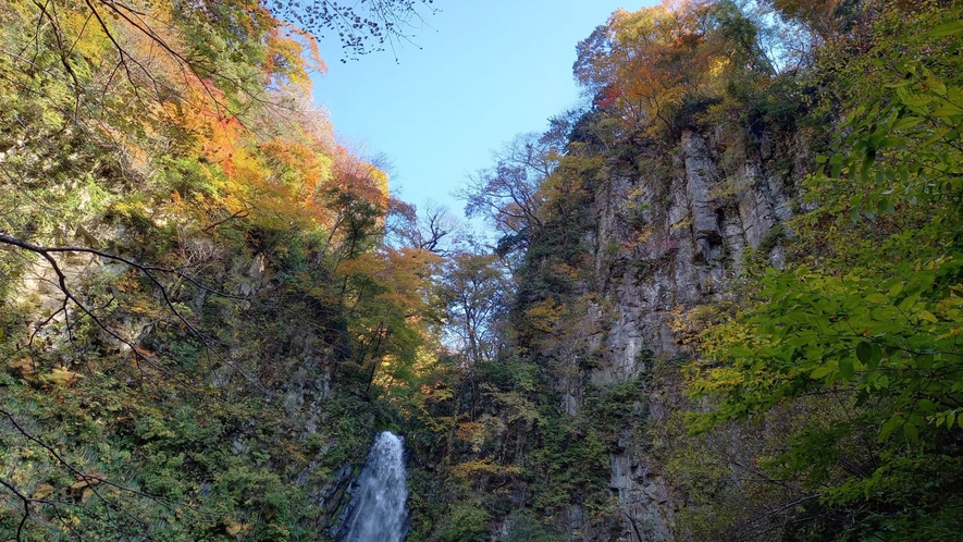 美しく色づく秋の雨滝