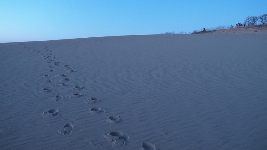 風によって絶えず形を変える砂丘にあなたの足跡を残しては。
