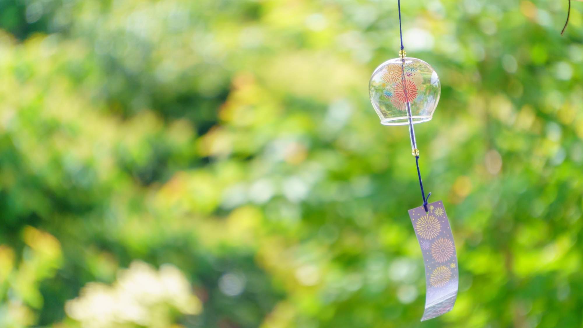 耳に優しい風鈴の音色。岩井屋で静かな夏のひとときをお過ごしください。