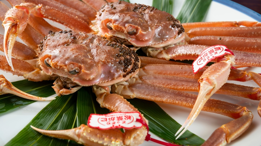 ぎっしりと詰まった身と上品な旨味が楽しめる鳥取を代表する冬の味覚「松葉蟹」をご堪能ください。