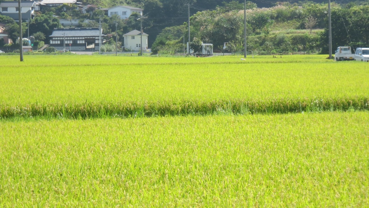 【夕食付】観光やお仕事の後は、ご飯を食べてゆっくり寛ぐ♪静かな環境で朝までぐっすり◆