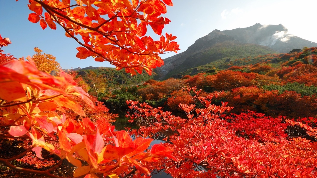 【紅葉シーズン限定】夕食無料アップグレード｜秋の那須高原と美食旅＜■スペシャリテコース／1泊2食＞