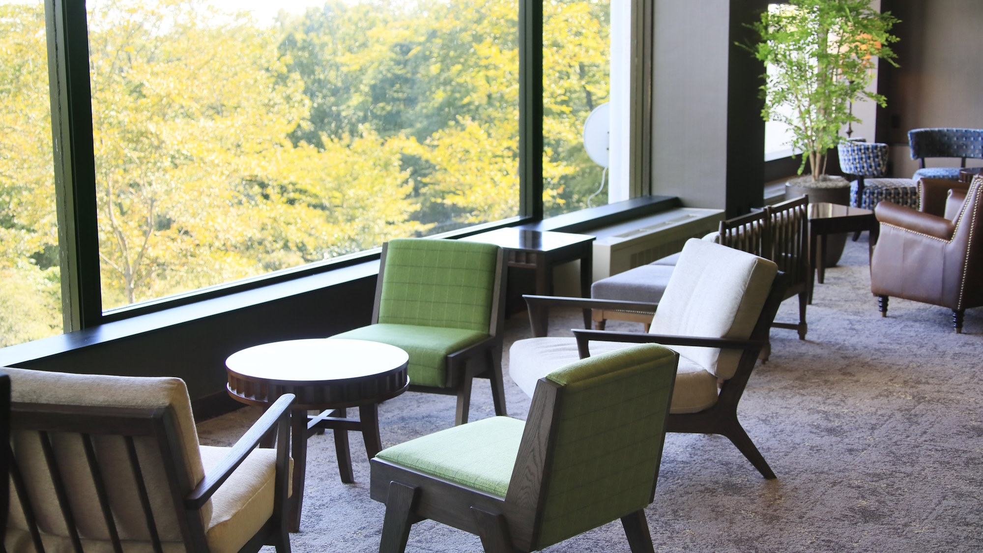 【直前割×GW】当館スタンダードコース／夜空の下で愉しむ白濁湯＜★アゼリアコース／1泊2食＞