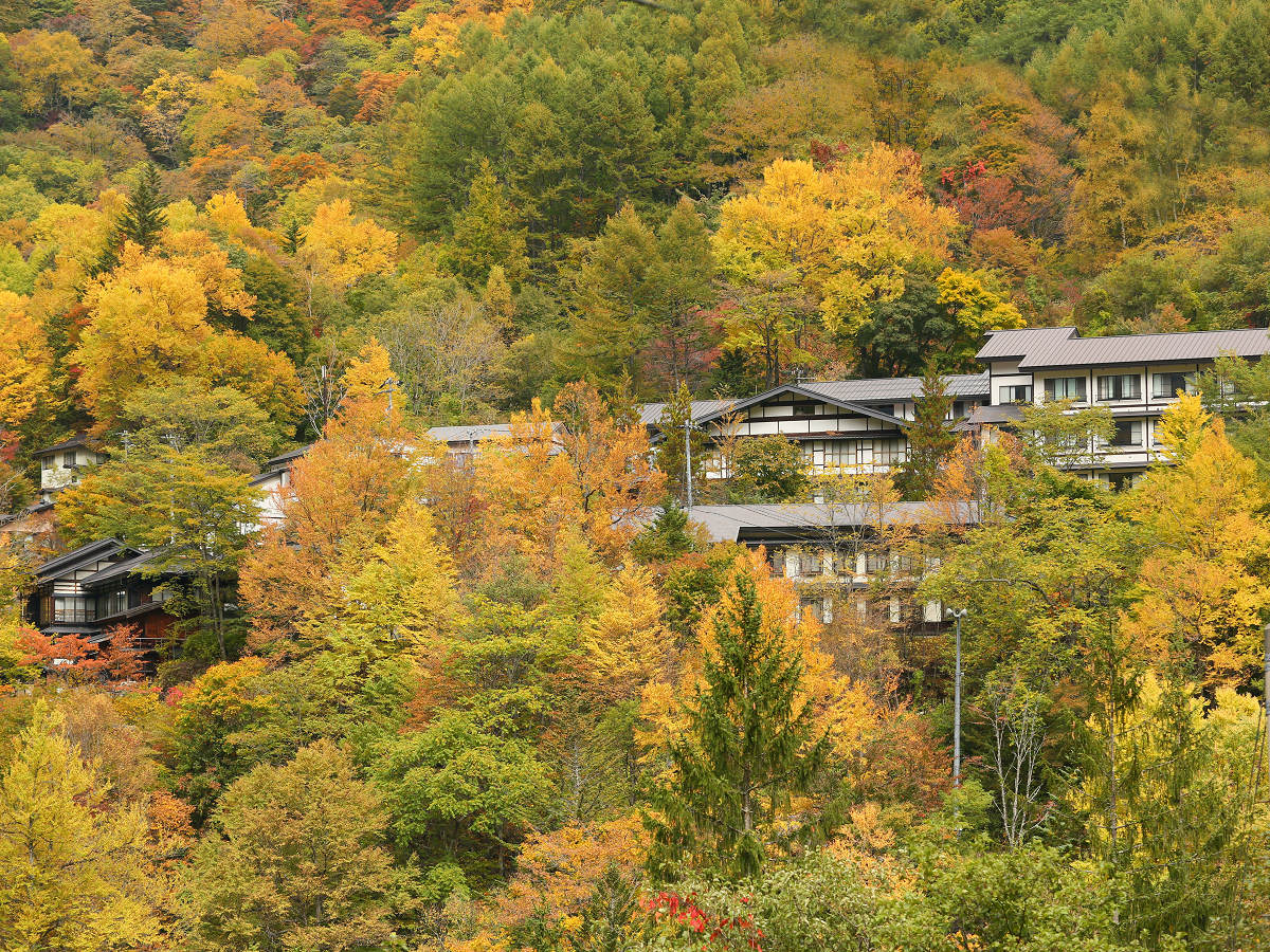 紅葉の「えびすや」