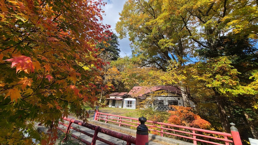 #秋の紅葉深まる湯西川に是非お越し下さい