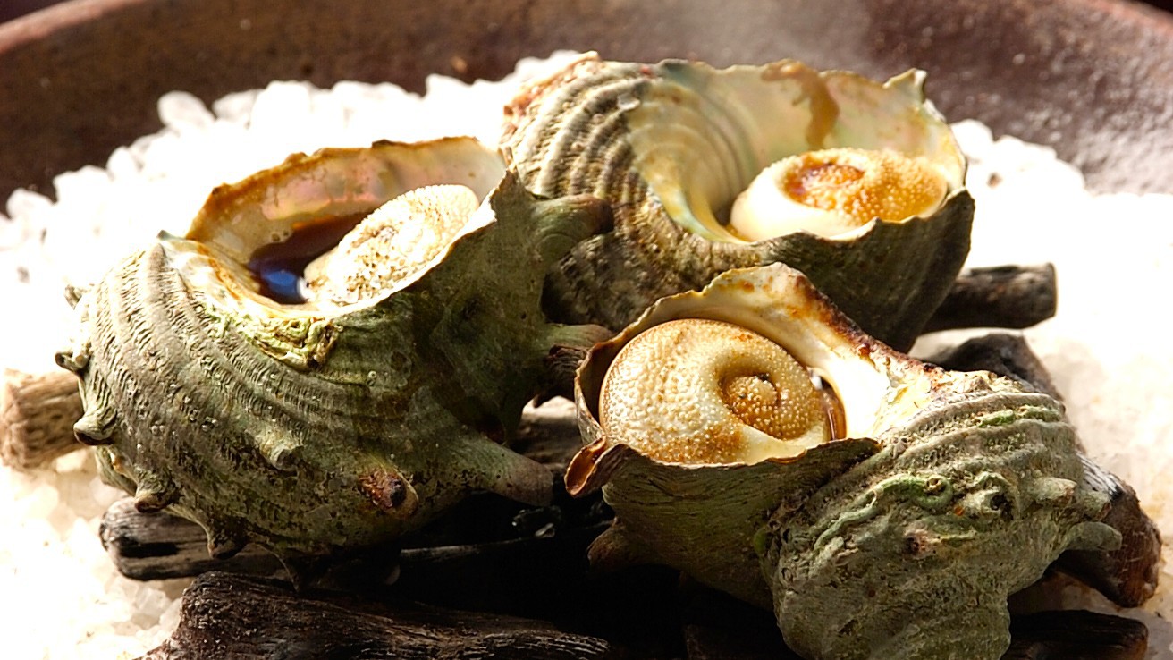 【２大食材グレードUP】伊勢海老まるまる1本付＆栄螺の壺焼きを堪能！ 