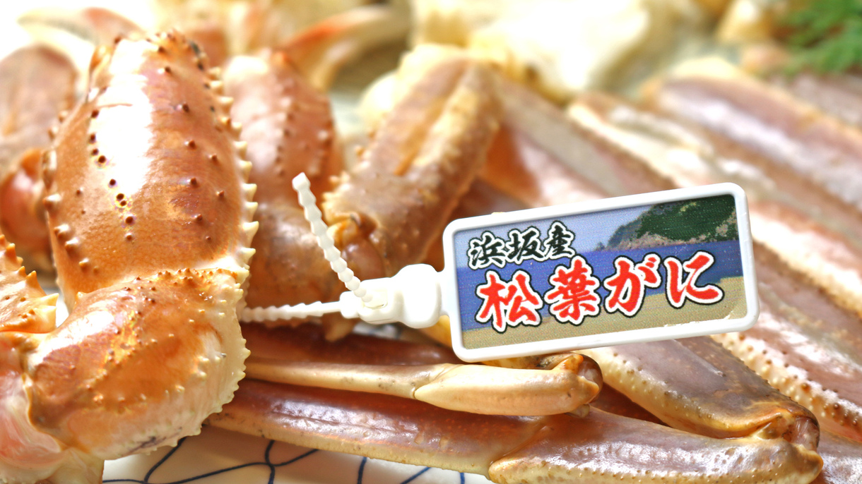 【日帰り昼食】　100％活ガニ使用☆　浜坂がに☆かにスタンダードプラン【温泉入浴付】