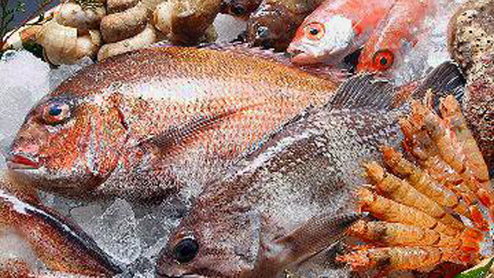 【夏休みファミリープラン】特典付！お子様に花火プレゼント♪山陰の海の幸食べつくし