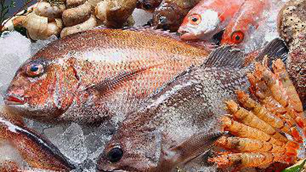 【夏休みファミリープラン】特典付！お子様に花火プレゼント♪山陰の海の幸食べつくし