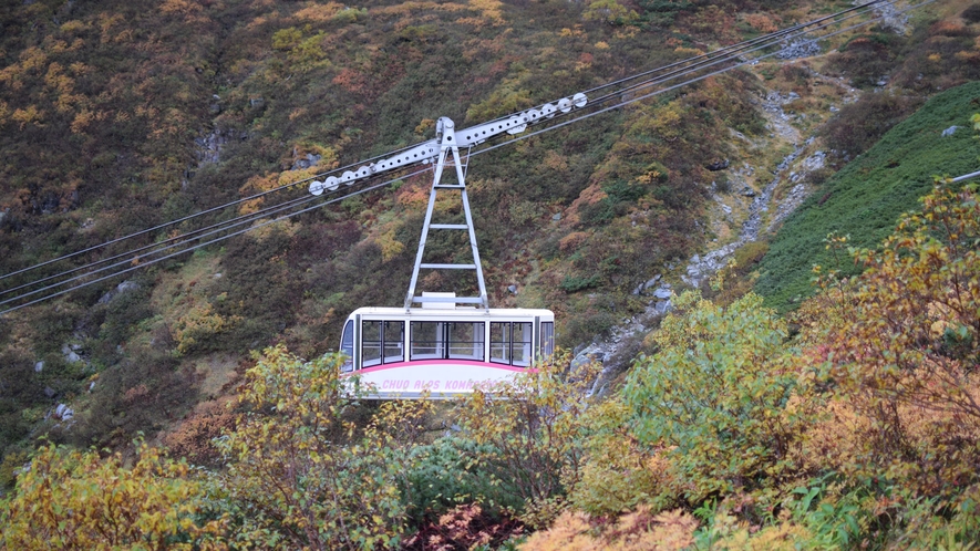 駒ヶ岳ロープウェイ。秋の景色