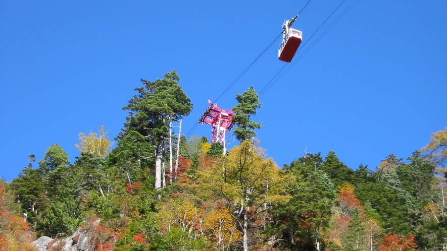 駒ヶ岳ロープウェイ　秋の景色