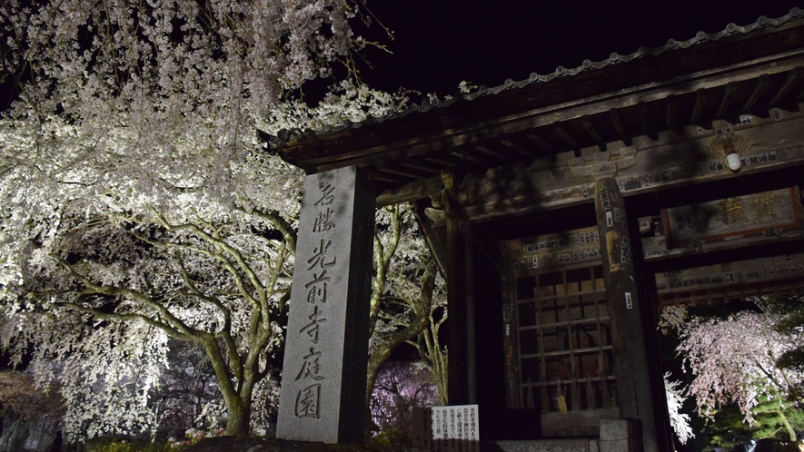 光前寺の桜