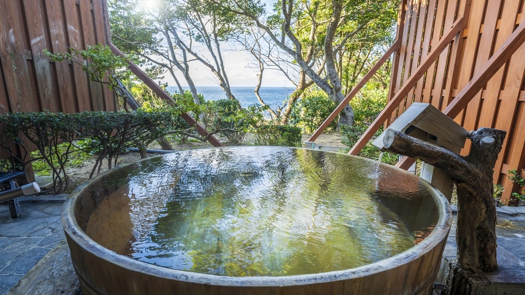 【素泊まり】源泉かけ流し温泉を堪能★白浜唯一の混浴露天風呂で海と一体化！無料サービス満載♪