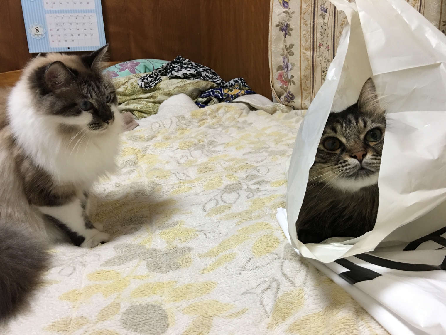 【当日限定】【期間限定】【1000割引】でお得に沖縄！