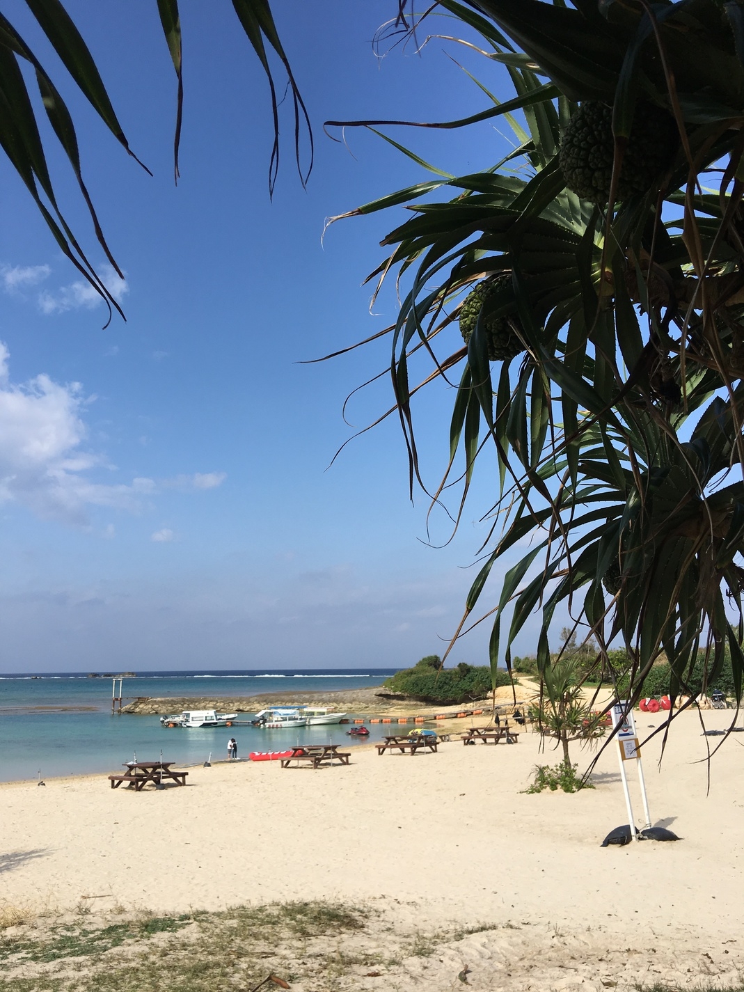 【当日限定】【期間限定】【1000割引】でお得に沖縄！