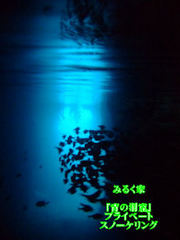 ここが青の洞窟！魚！