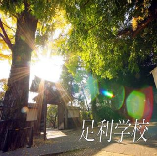 一般参拝料400円で午前9時から観光可能な足利学校。日本最古で知られ国の史跡にも指定されてます。