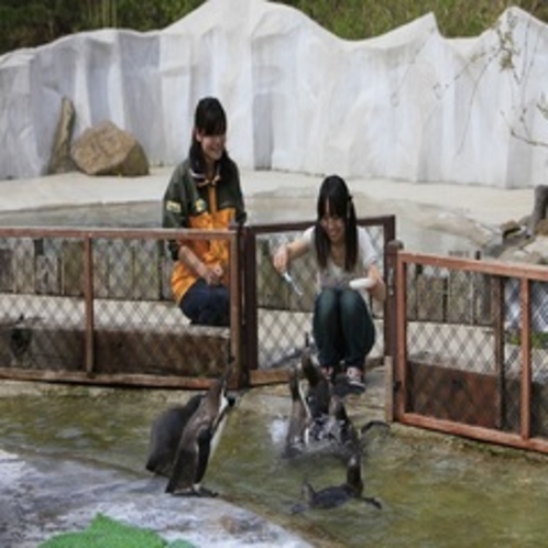 那須動物王国（えさやり）