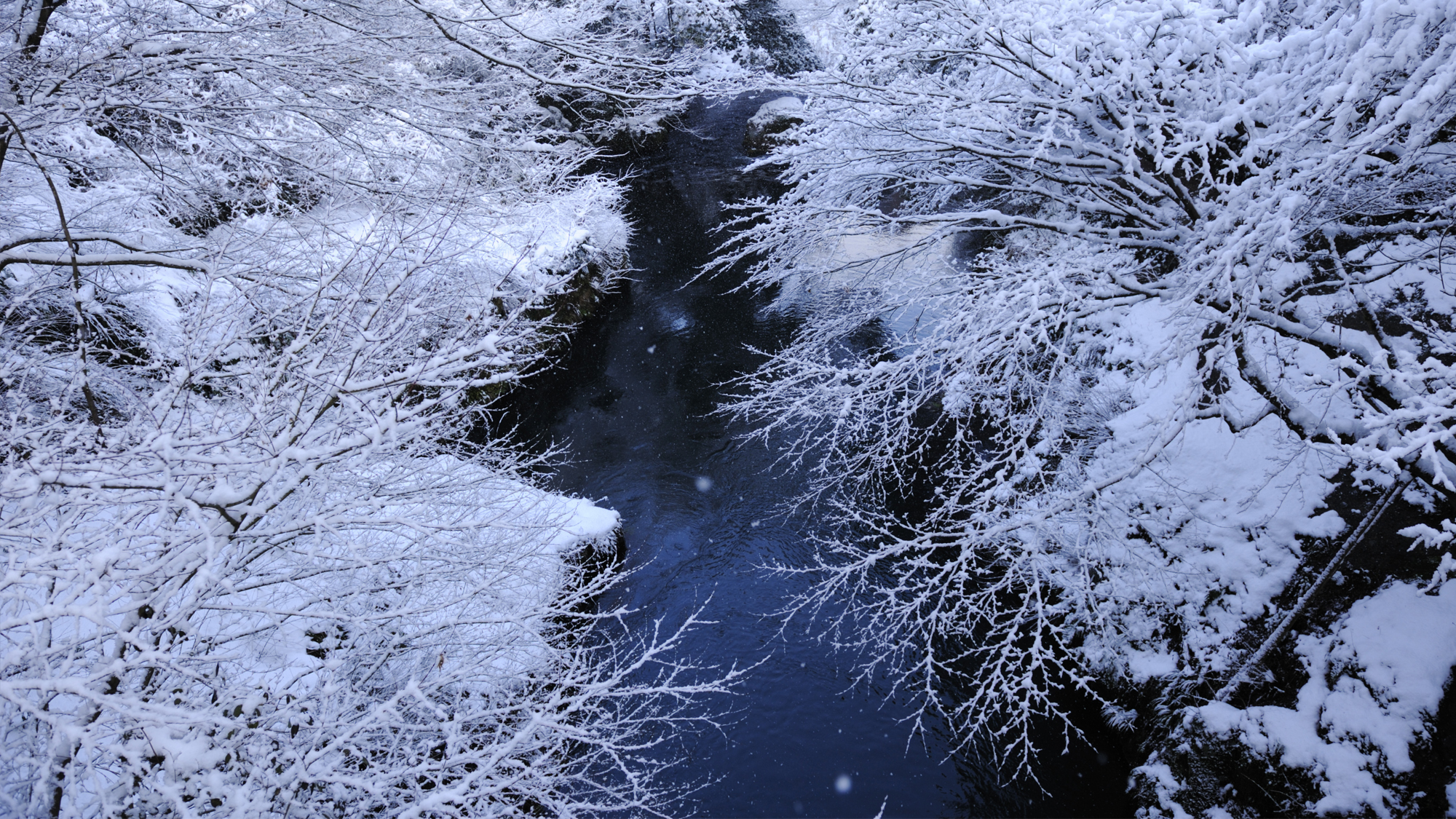 眼下に流れる名勝「鶴仙渓」の渓流。雪の季節ならではの息をのむような風景がそこに。