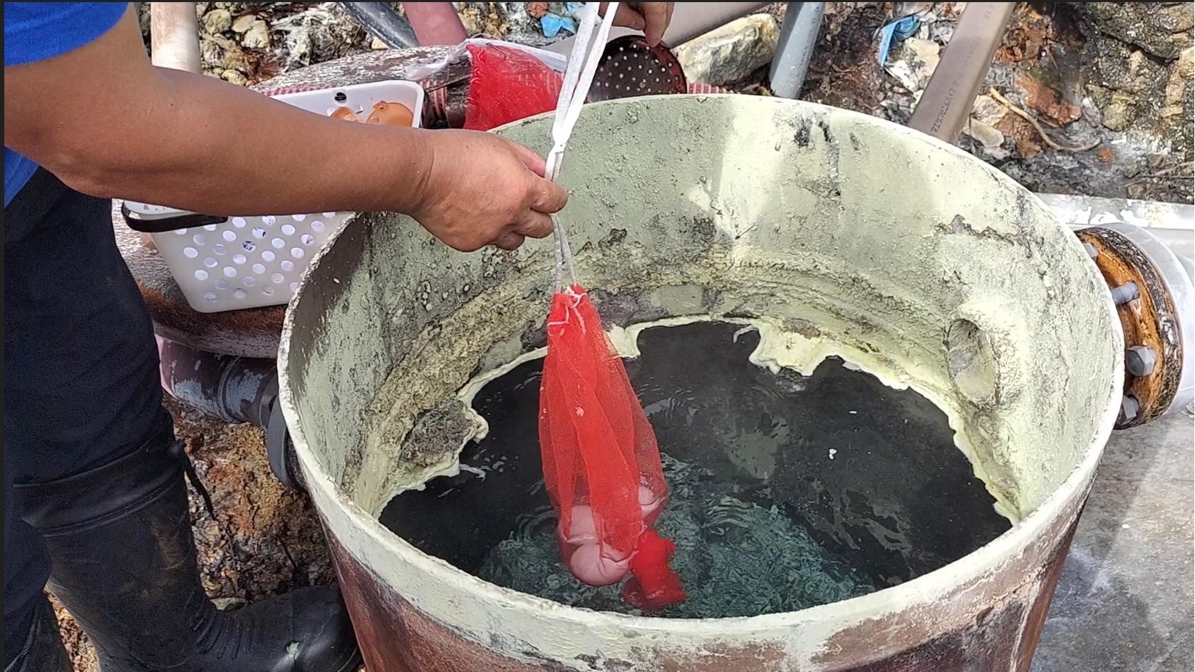 【温泉たまご作り体験】大人も子供も楽しめる♪チェックイン後のお楽しみに♪ご夕食は量控えめエイトコース