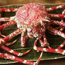 駿河湾の海の恵み　「タカアシガニ」