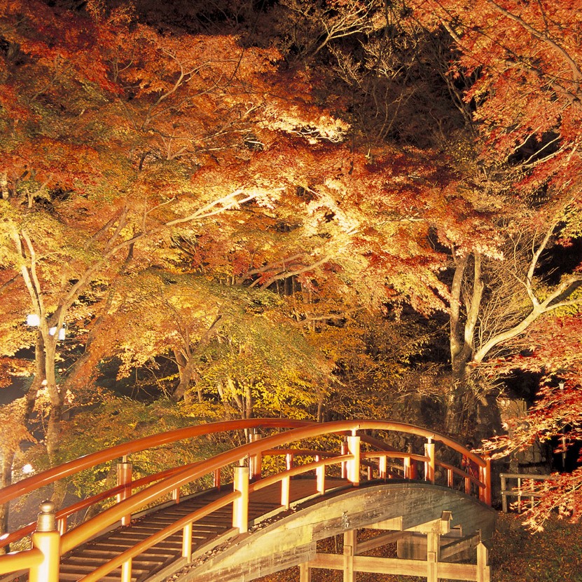 【河鹿橋】当館より石段街経由で徒歩約20分。紅葉の名所「かじか橋」ライトアップ10月下旬〜11月中旬