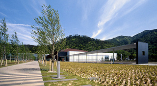 島根県立古代出雲歴史博物館（出雲大社のすぐそば）