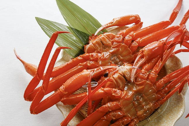 【春の香住ガニ】選べるランチプラン「香住ガニすき鍋ランチ」【ランチ限定】