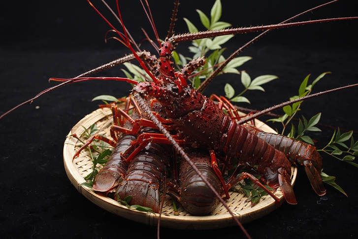 【季節限定】伊勢海老会席プラン【朝夕２食付】禁煙スイト