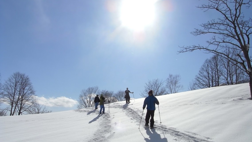 真っ白な雪に覆われた静かな森の中を歩いてみませんか？ネイチャーハイキングも人気（ツアー料金別途）