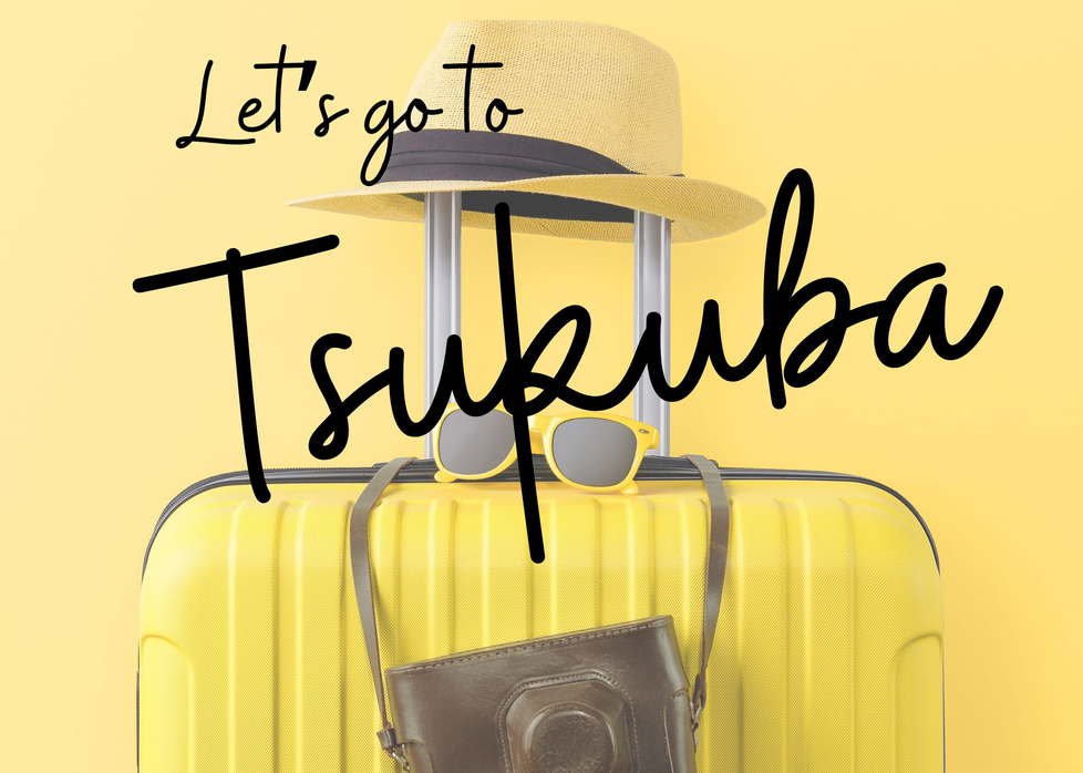 【毎月12日・29日限定】お客様感謝デー特別プラン【素泊り】