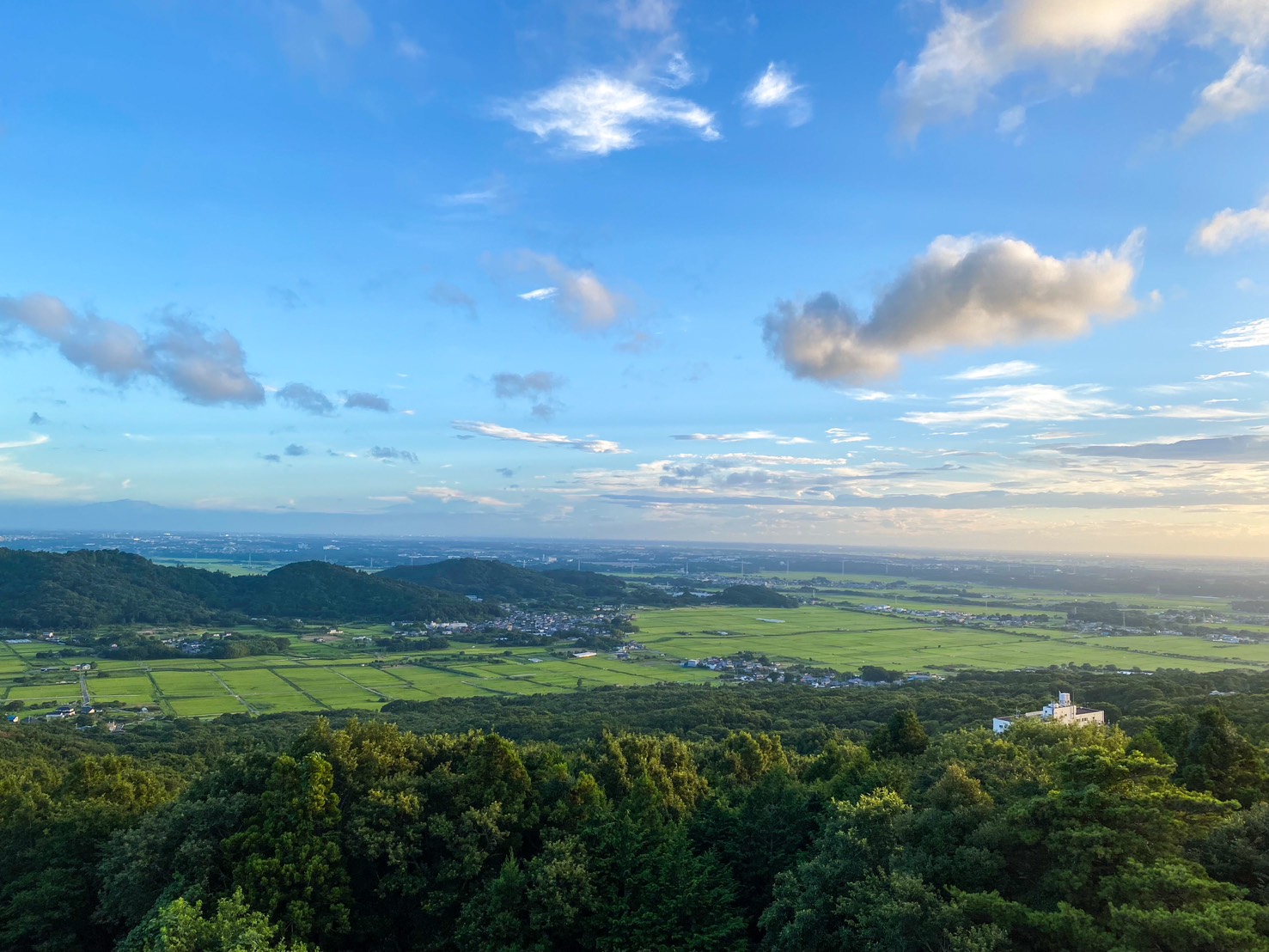当館より望む関東平野
