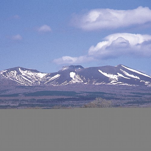 コンフォートホテル苫小牧 - 写真 115