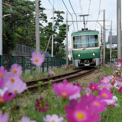 鎌倉観光に便利な江ノ電