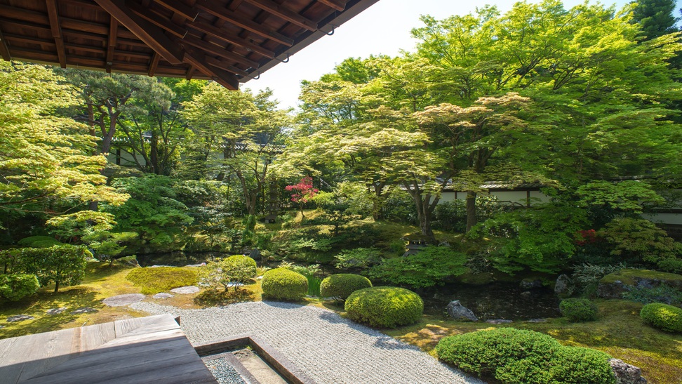 皇室ゆかりの 御寺 泉涌寺　早朝特別拝観と精進料理