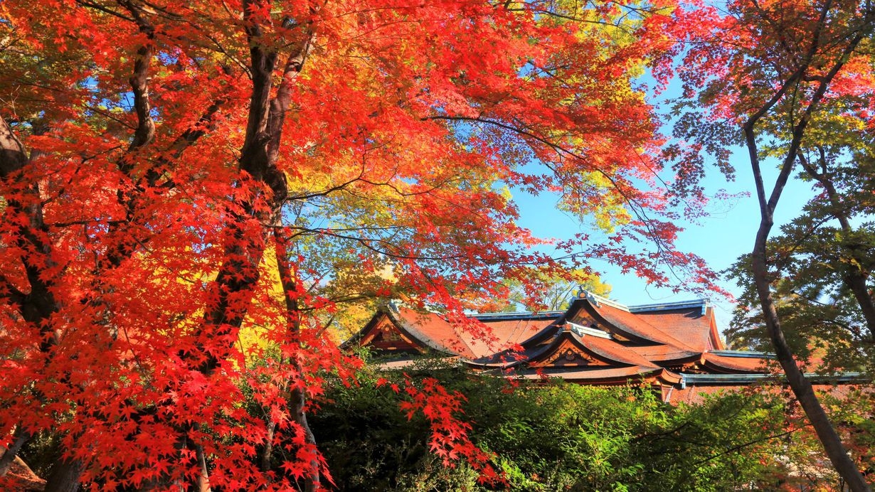 【少人数貸切で開門前の紅葉の名所へ…秋のイチ推し朝活】特別早朝拝観プラン（朝食付き）